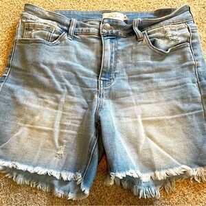 Jelly Jeans Women Denim Shorts - Size Large